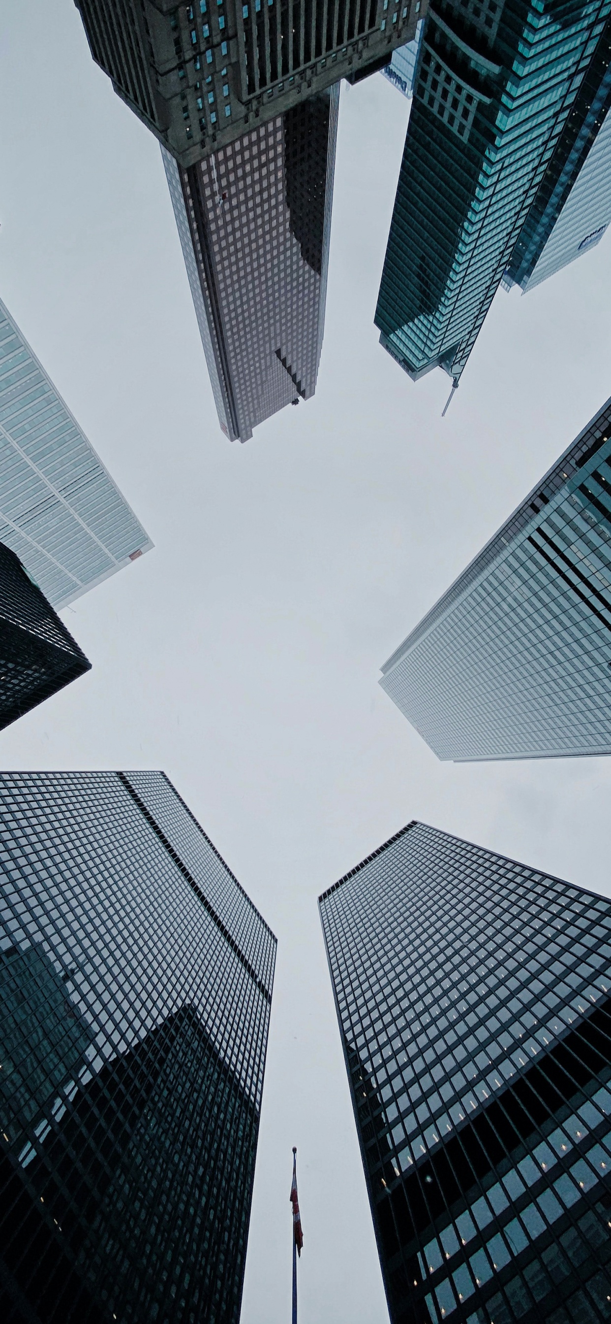 Обои башня, высотное здание, смотровая площадка на фоне линии горизонта торонто, здание, Башня CN в разрешении 1242x2688