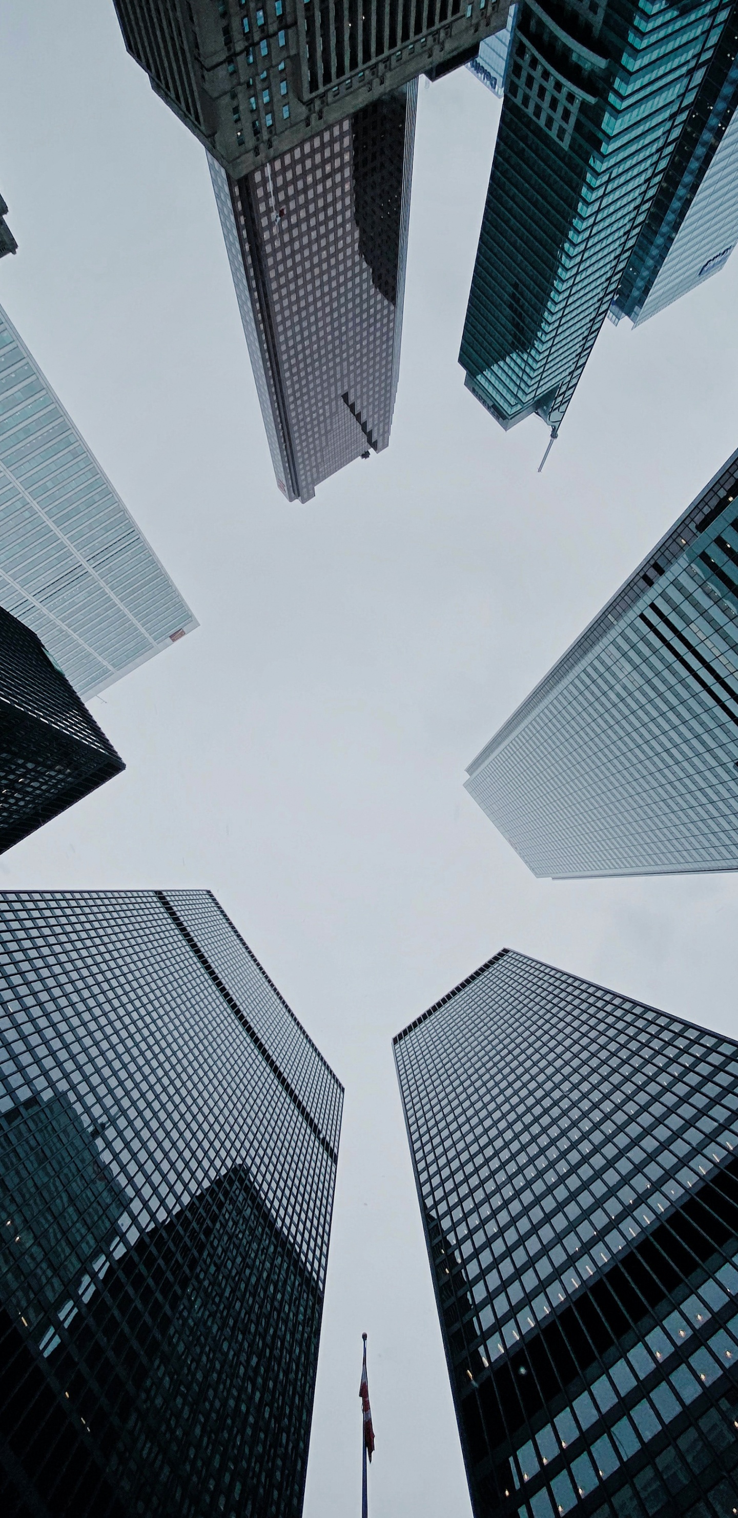 Обои башня, высотное здание, смотровая площадка на фоне линии горизонта торонто, здание, Башня CN в разрешении 1440x2960