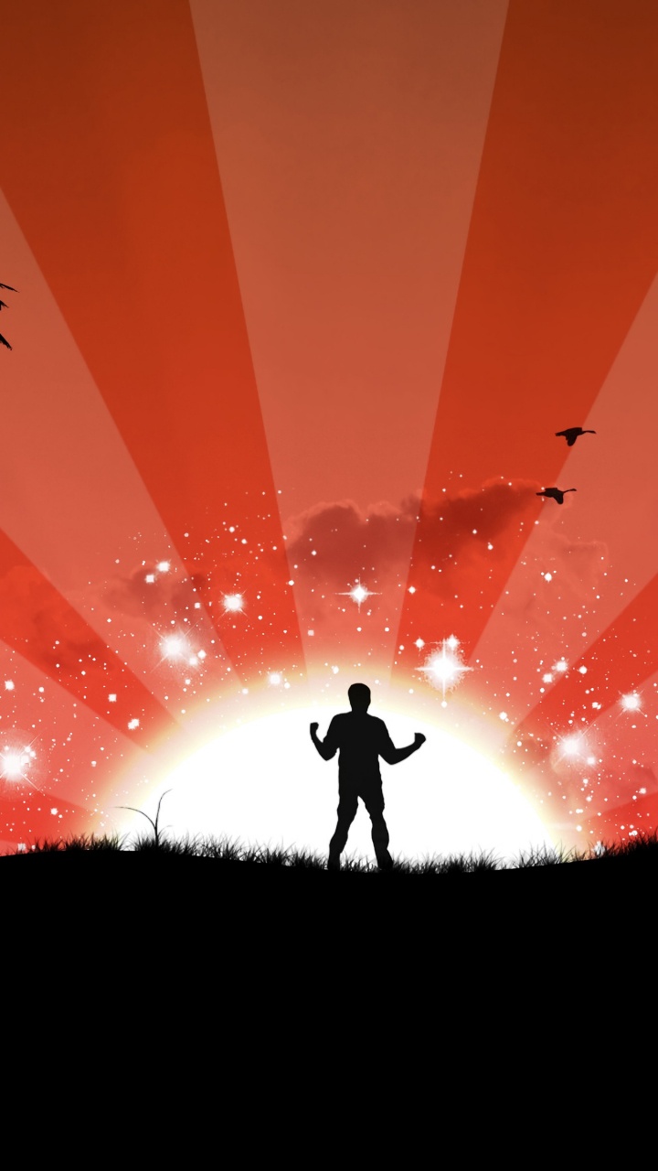 Обои пейзаж, восход солнца, дерево, закат, красный цвет в разрешении 720x1280