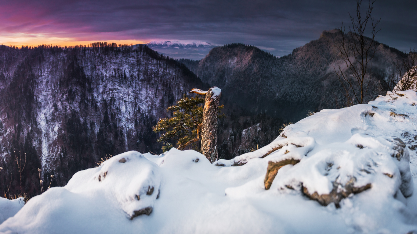 Обои пейзаж, природный ландшафт, снег, зима, природа в разрешении 1366x768
