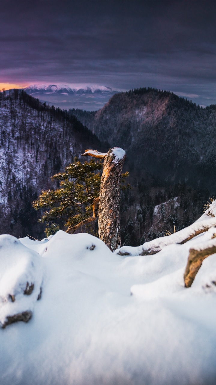 Обои пейзаж, природный ландшафт, снег, зима, природа в разрешении 720x1280