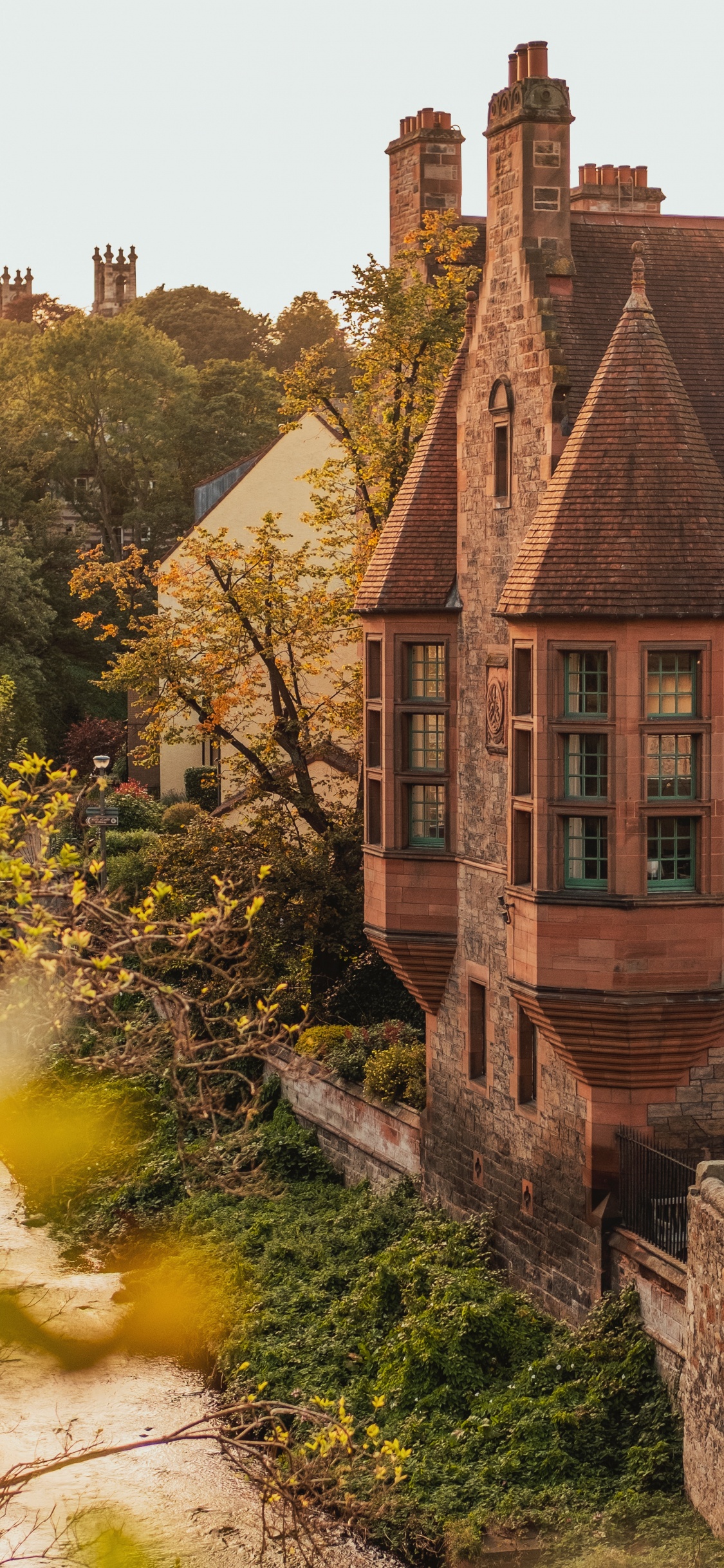 Обои Хаус, здание, дерево, родина, архитектура в разрешении 1125x2436