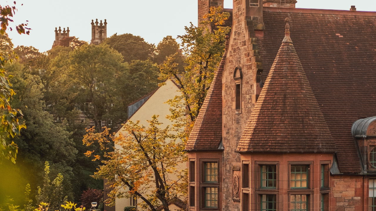 Обои Хаус, здание, дерево, родина, архитектура в разрешении 1280x720