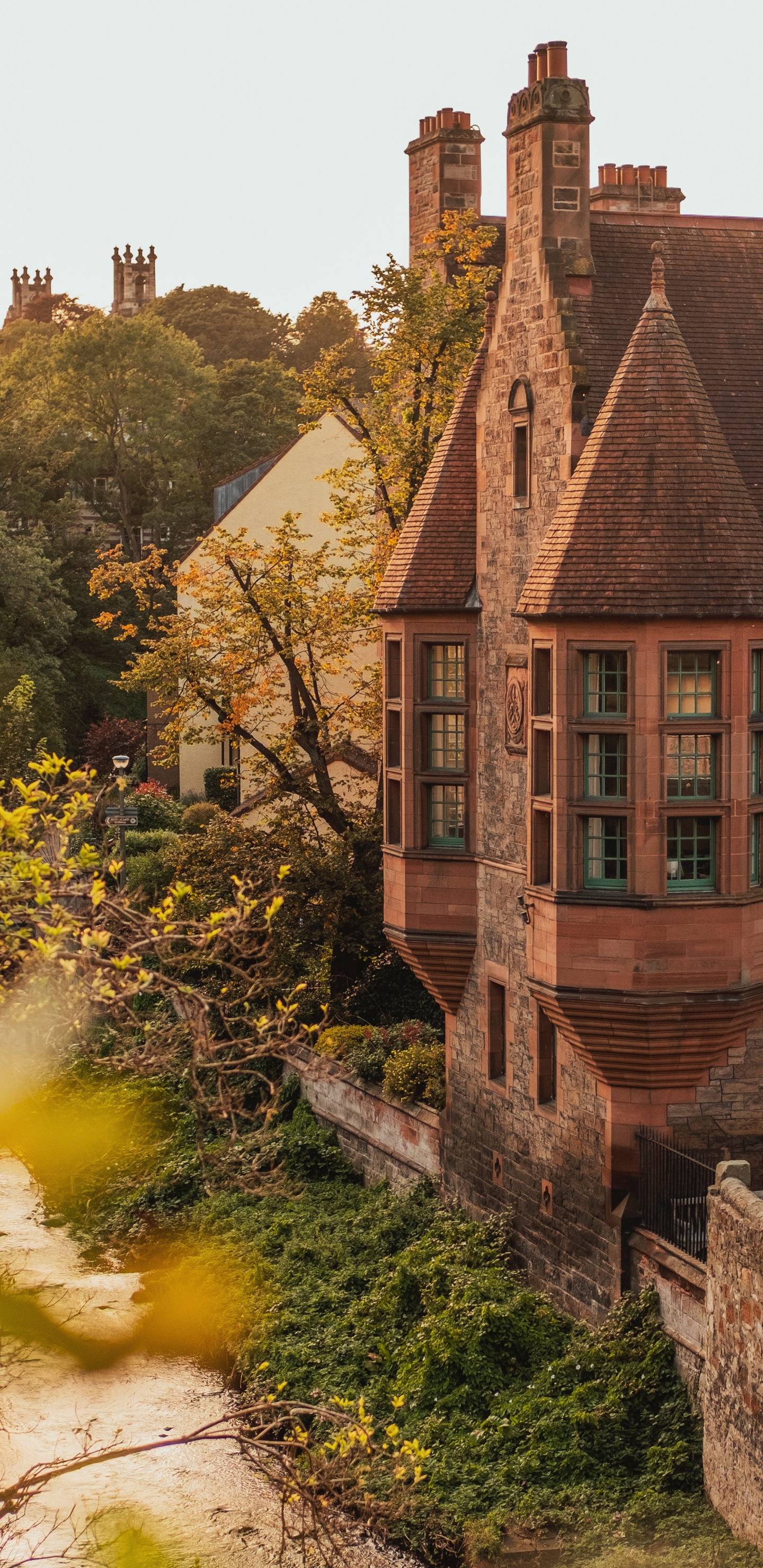 Обои Хаус, здание, дерево, родина, архитектура в разрешении 1440x2960