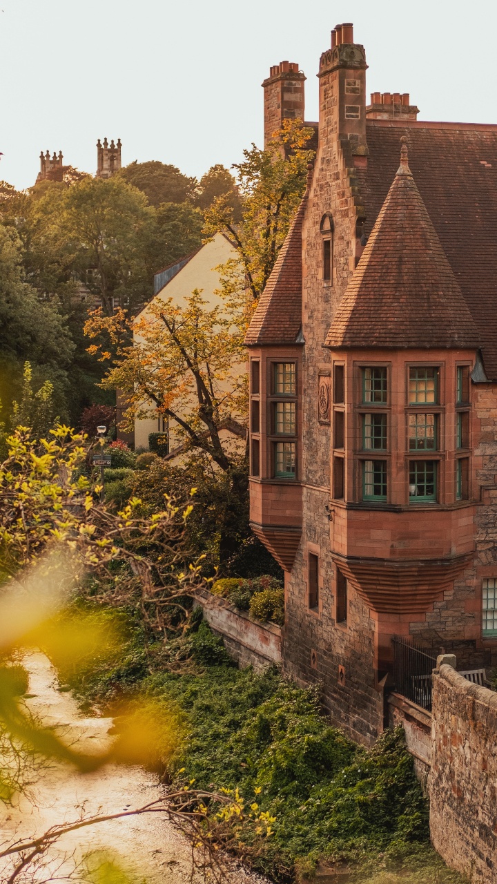 Обои Хаус, здание, дерево, родина, архитектура в разрешении 720x1280