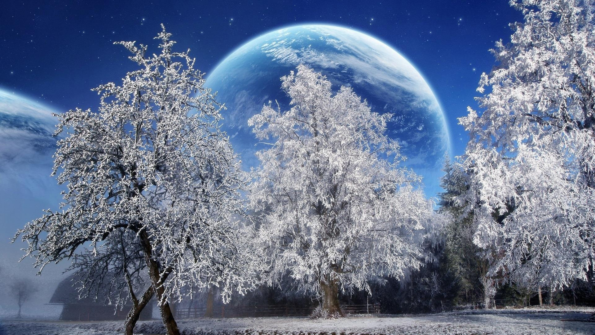 Обои зима, снег, природа, мороз, дерево в разрешении 1920x1080