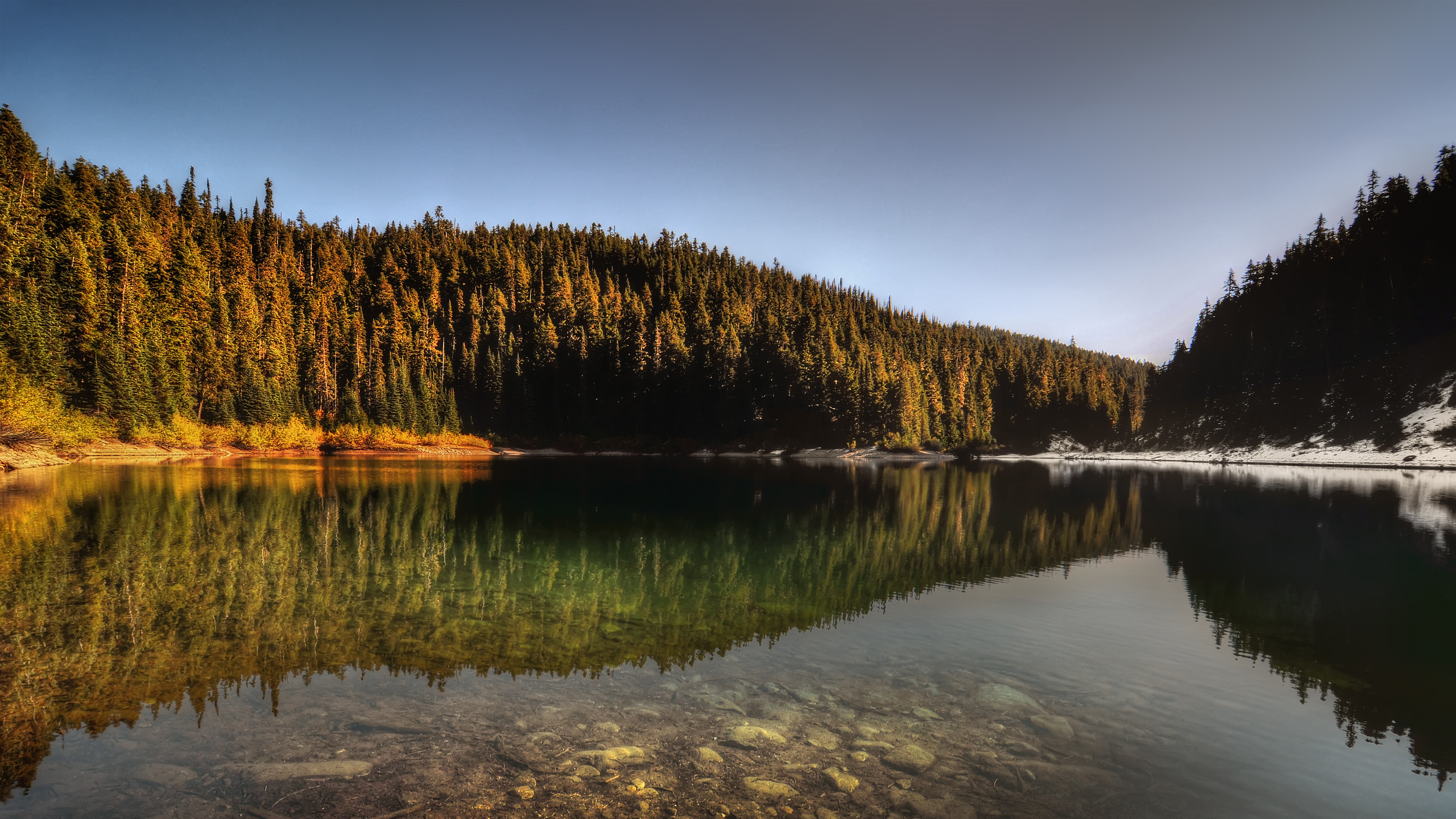 Обои озеро, отражение, дерево, природа, вода в разрешении 2560x1440