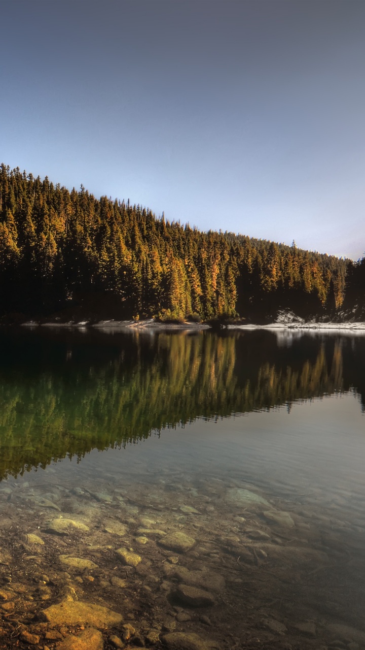 Обои озеро, отражение, дерево, природа, вода в разрешении 720x1280