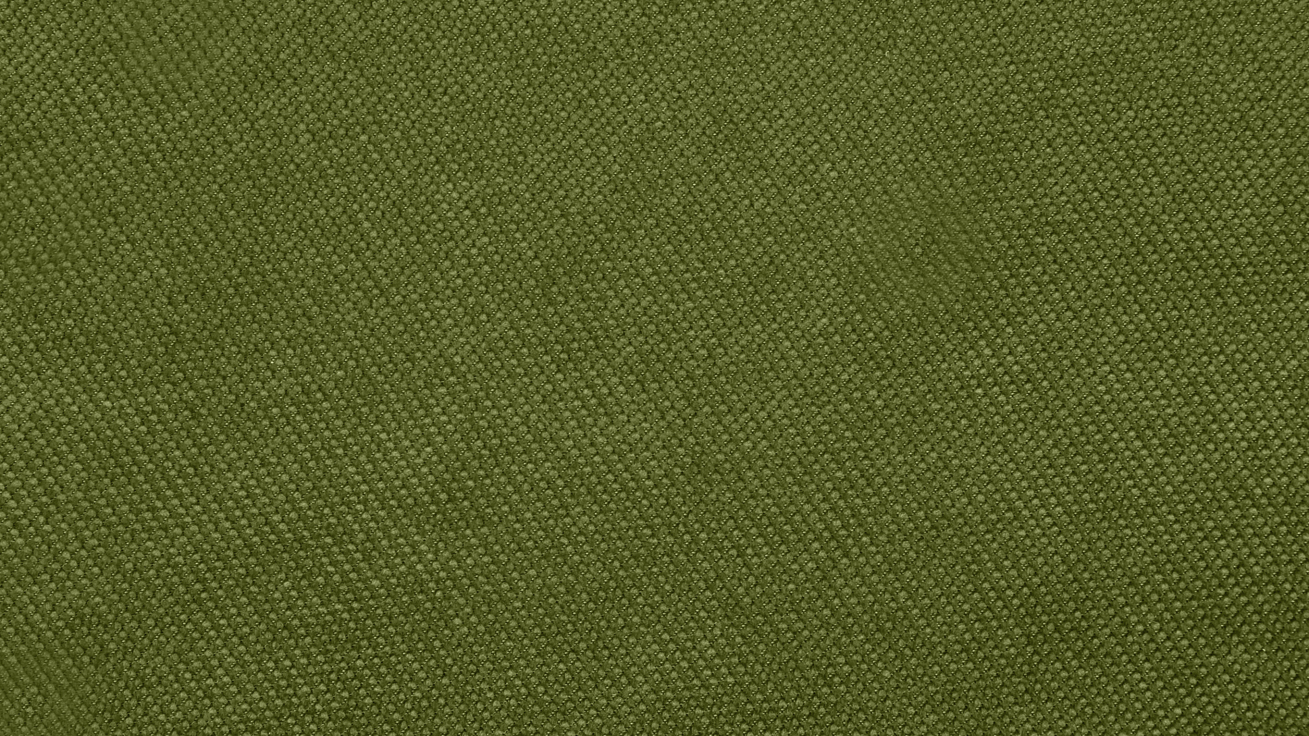 Обои зеленый, трава, узор, древесина, луг в разрешении 2560x1440