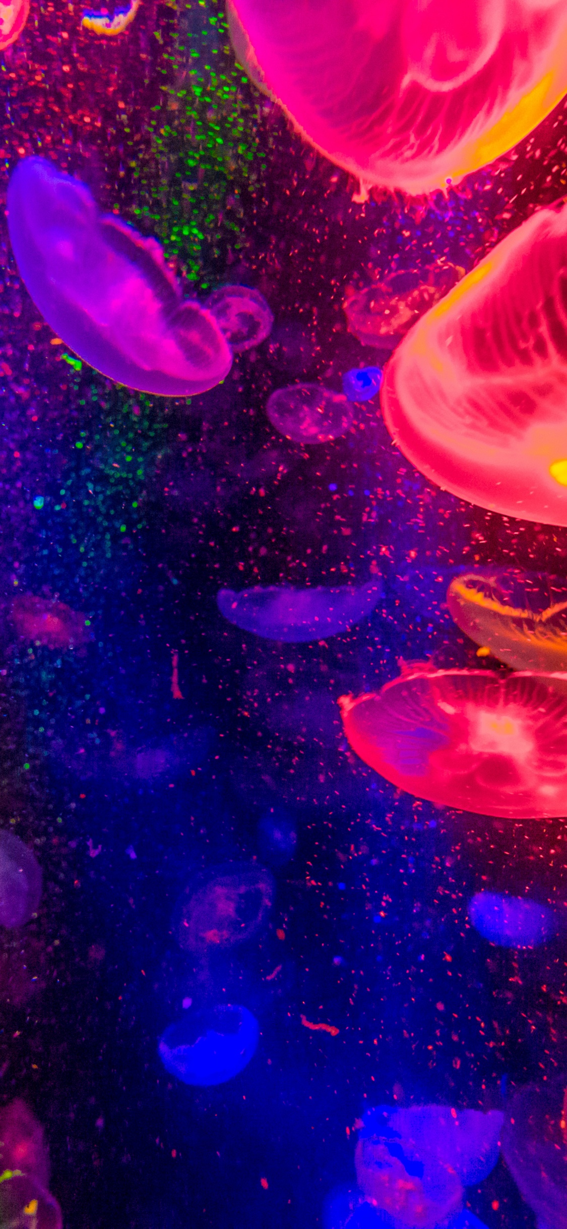 Обои вода, свет, пурпур, Фиолетовый, розовый в разрешении 1125x2436