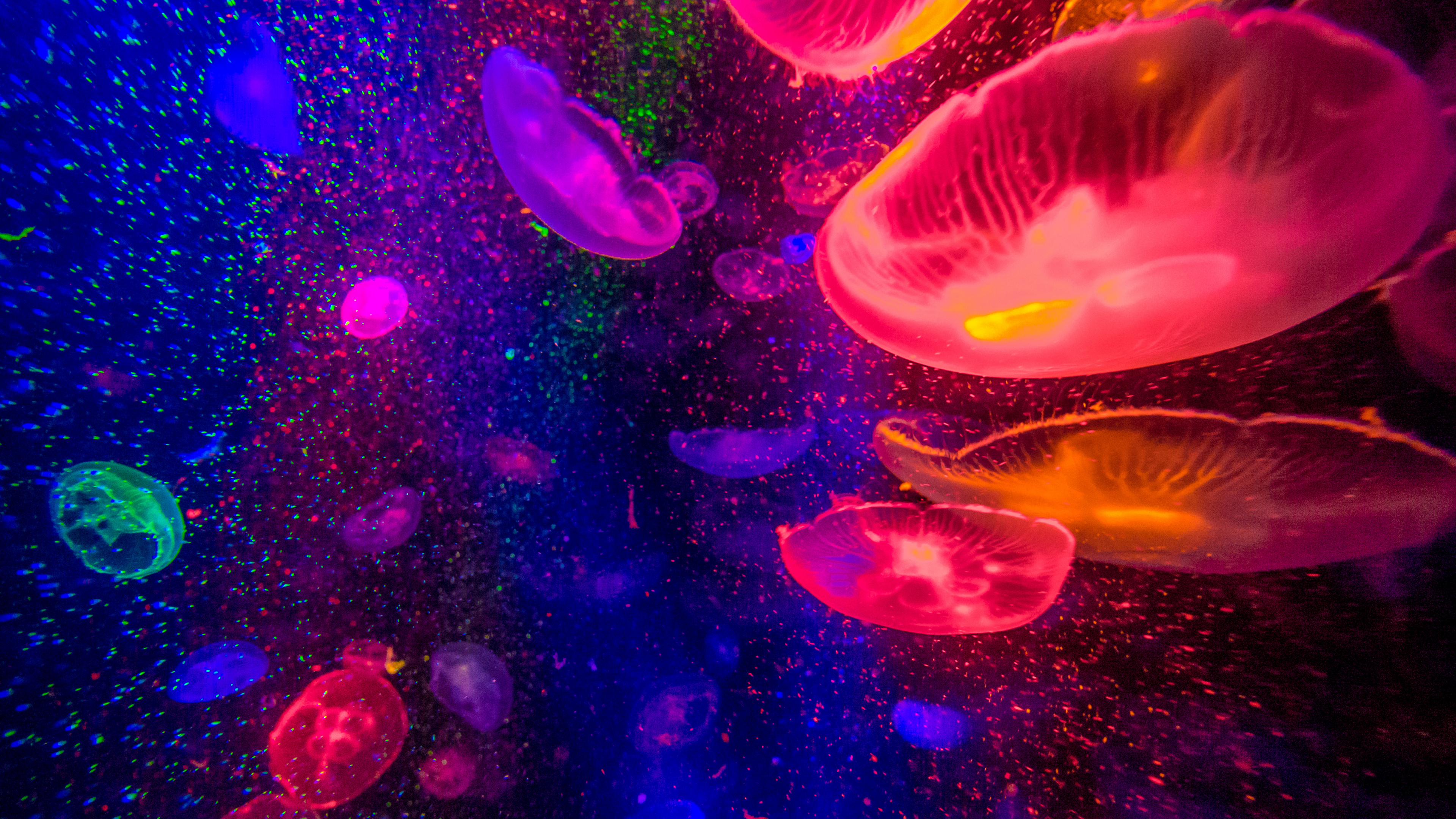 Обои вода, свет, пурпур, Фиолетовый, розовый в разрешении 3840x2160