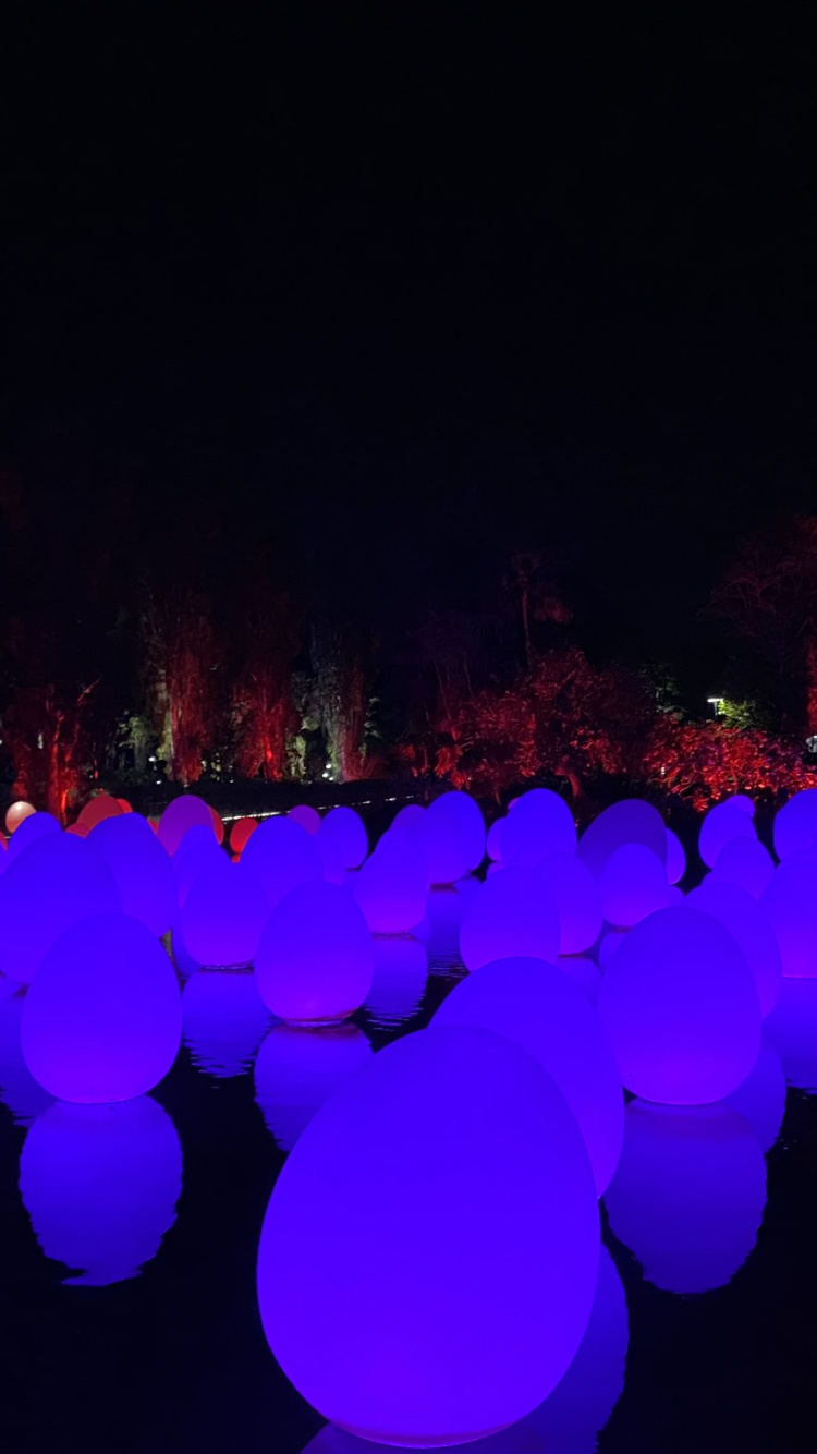 Обои Сингапур, свет, физика, наука, статистика в разрешении 750x1334