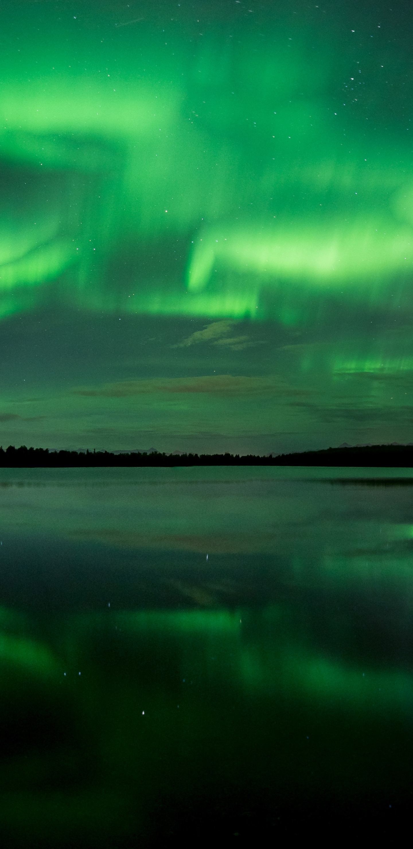 Обои Аврора, природа, вода, свет, атмосфера в разрешении 1440x2960