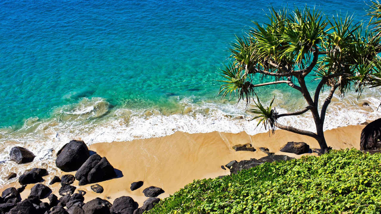 Обои берег, побережье, море, пляж, туризм в разрешении 1280x720