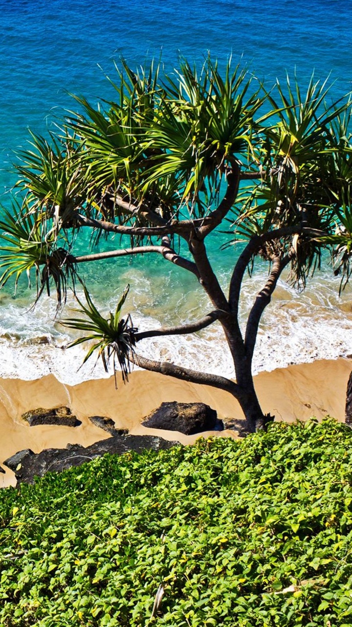 Обои берег, побережье, море, пляж, туризм в разрешении 720x1280