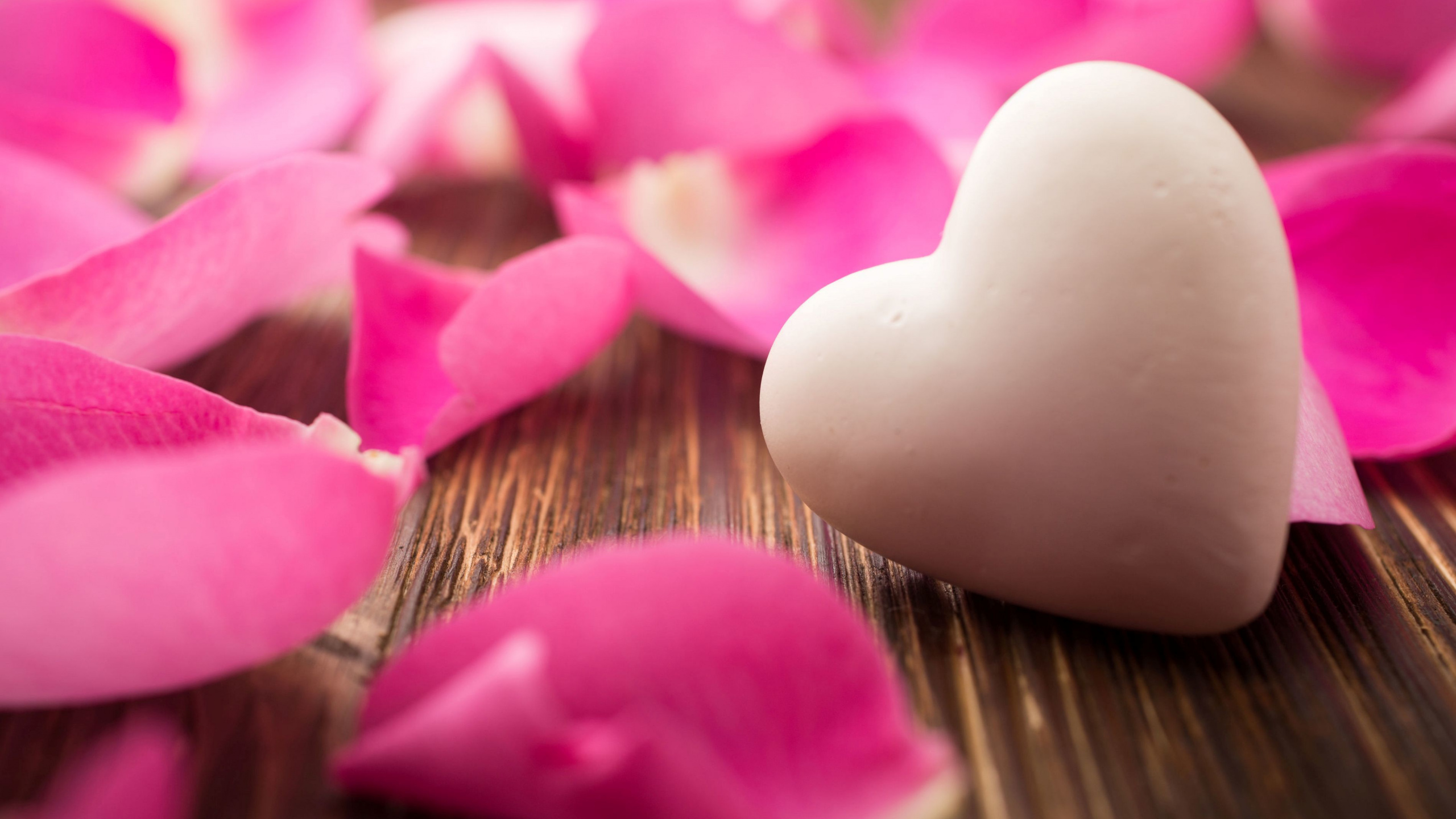 Обои любовь сердца, сердце, роман, лепесток, розовый в разрешении 2560x1440