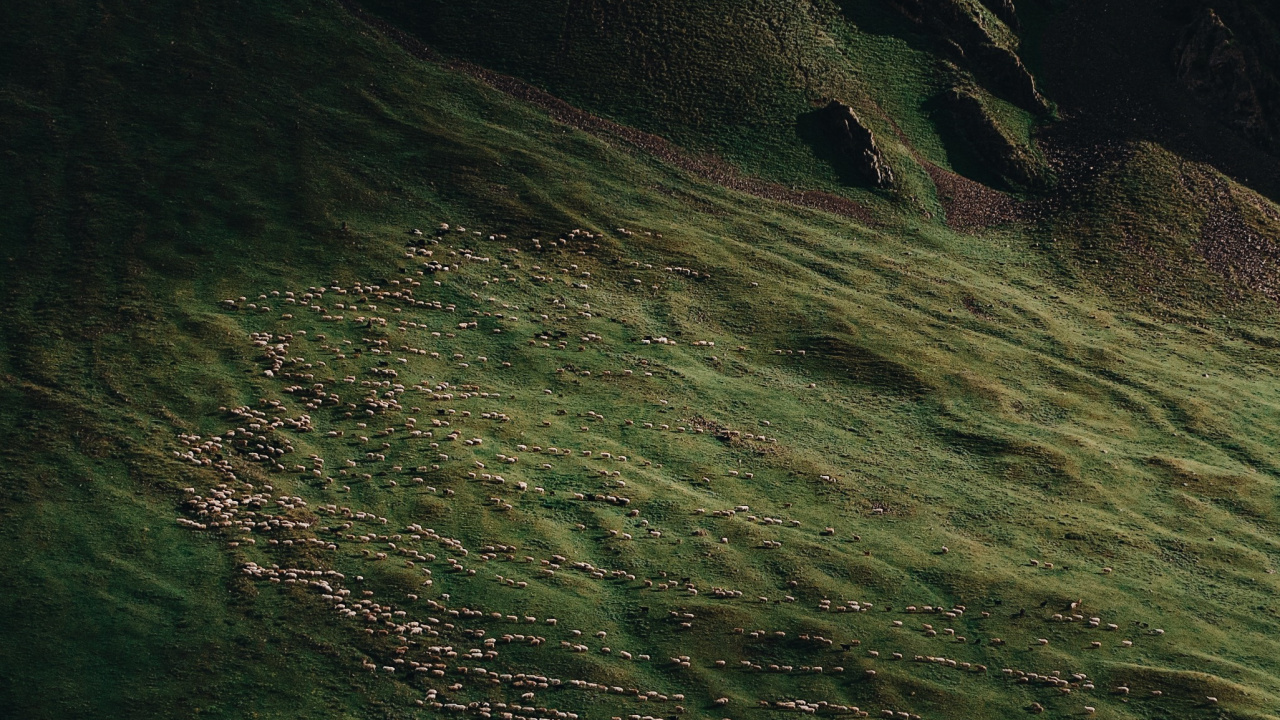 Обои природа, земля, вода, древесина, полутона и оттенки в разрешении 1280x720