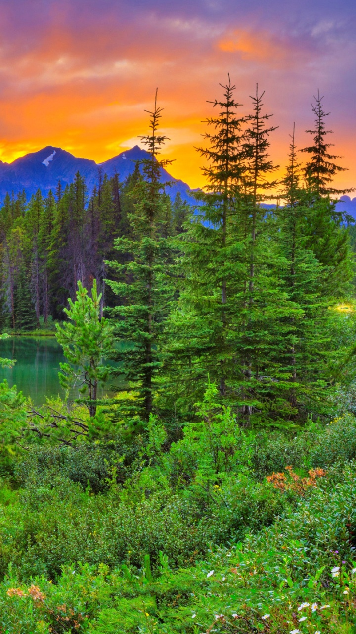 Обои Герберт Озеро, банфф, моренное озеро, Озеро Ту Джек, парк в разрешении 720x1280