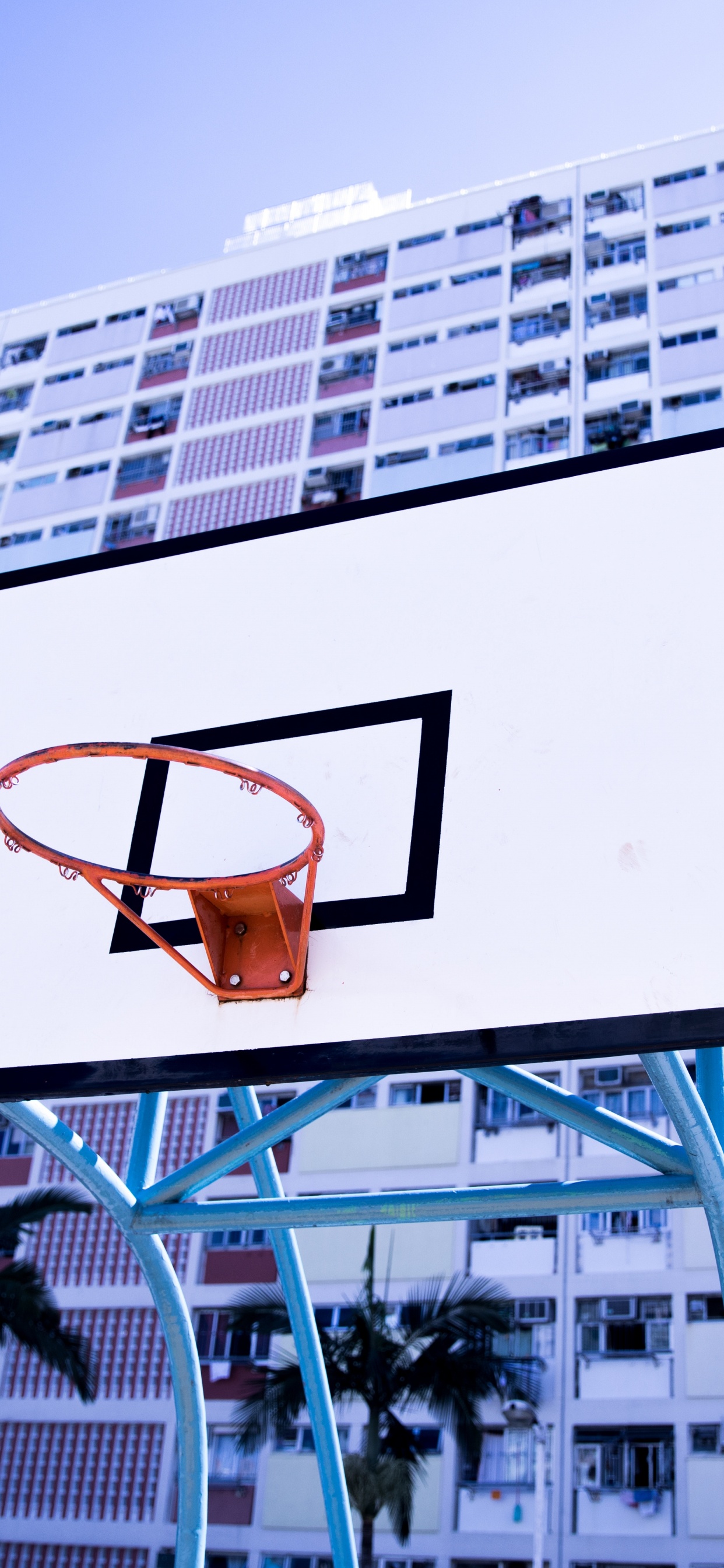 Обои Баскетбол, баскетболист, архитектура, стена, городской район в разрешении 1242x2688