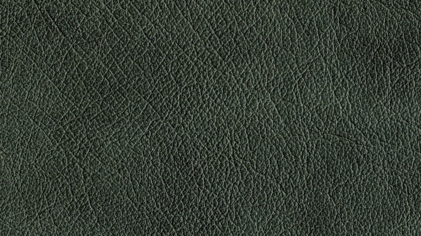 Обои черный, зеленый, Проект СПО, трава, электронная книга в разрешении 1366x768