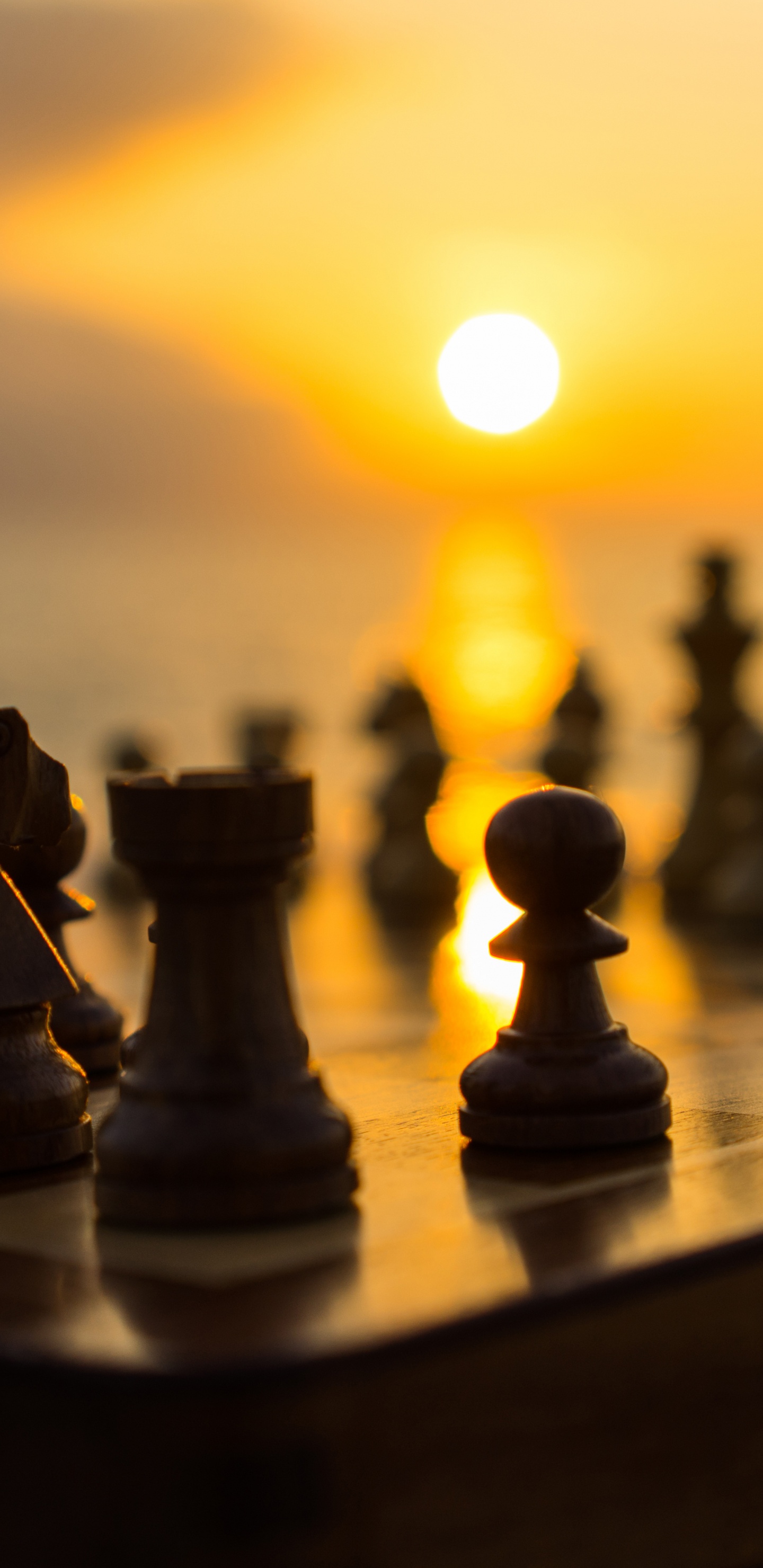 Обои игры в помещении и спорта, настольная игра, Королева, Шахматная фигура, закат в разрешении 1440x2960