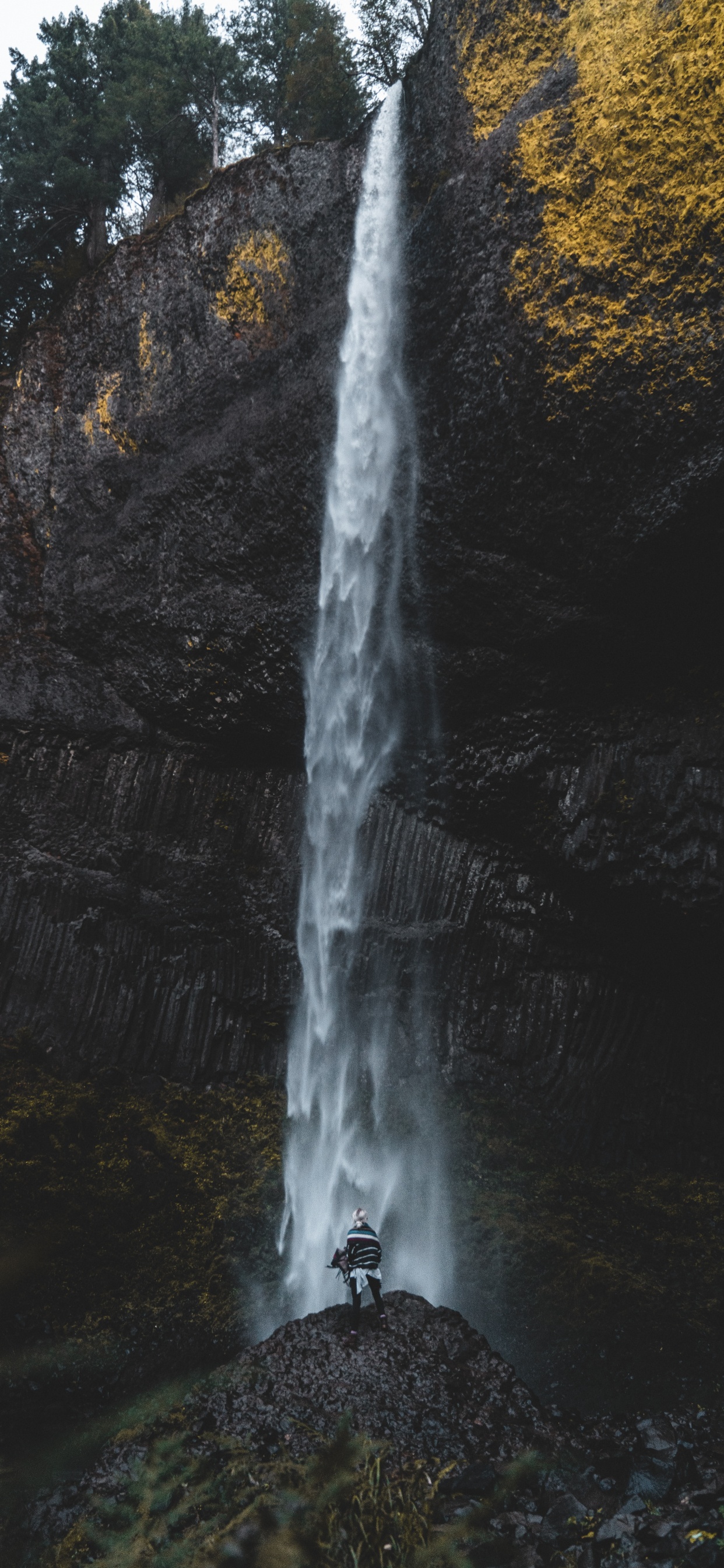 Обои водопад, вода, природа, гидроресурсы, природный ландшафт в разрешении 1242x2688
