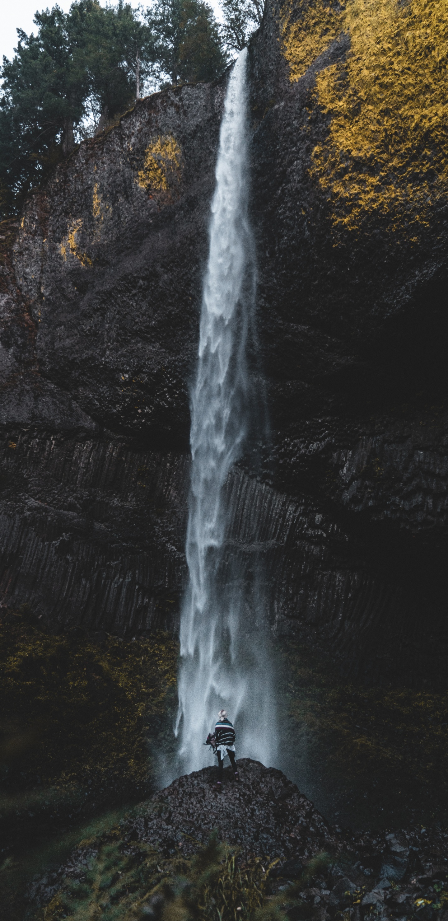 Обои водопад, вода, природа, гидроресурсы, природный ландшафт в разрешении 1440x2960