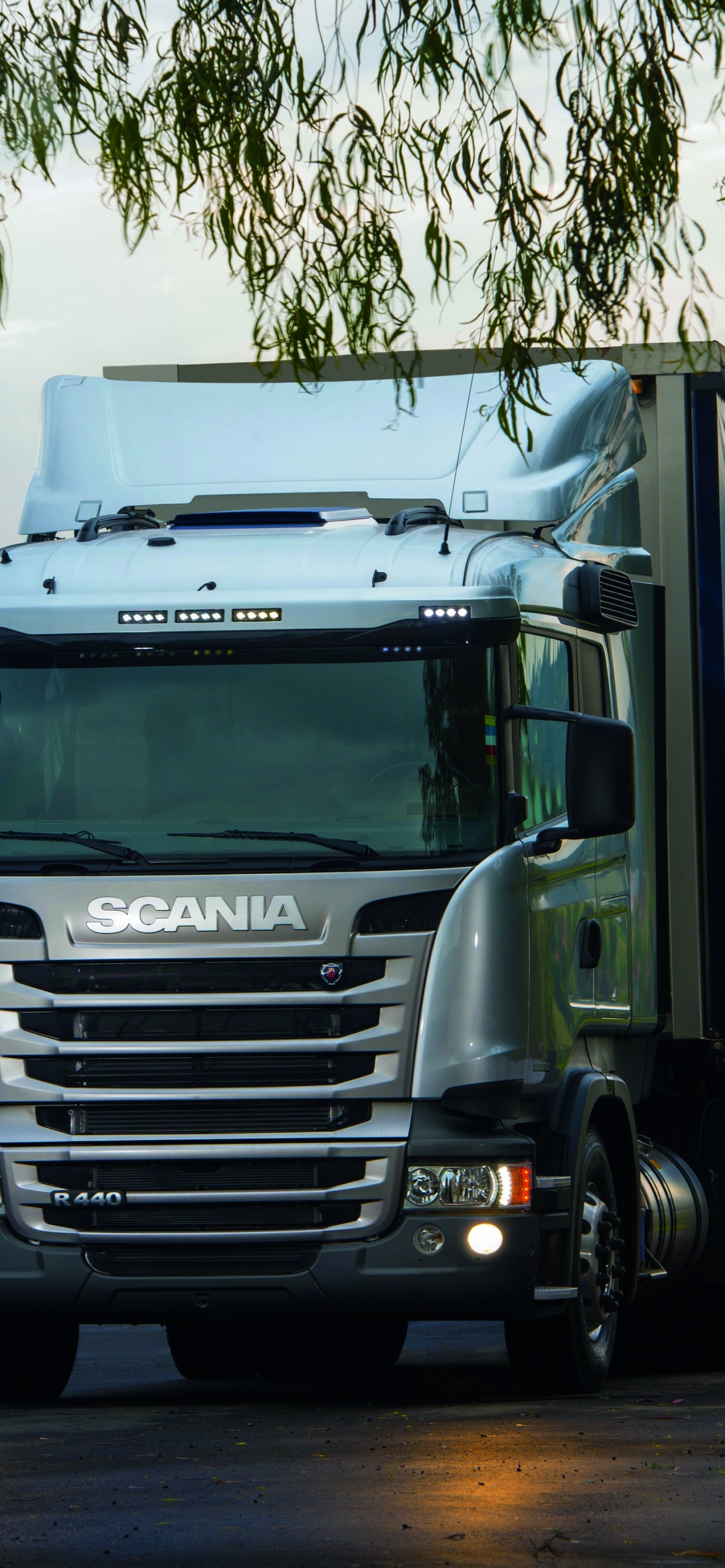 Обои Скания АБ, грузовик, авто, транспорт, трейлер тележки в разрешении 1242x2688