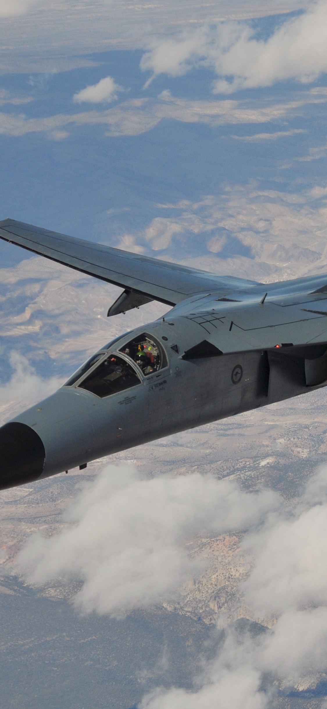 Обои Дженерал Дайнэмикс F-111 Муравьед, самолеты, военный самолет, самолет, авиация в разрешении 1125x2436