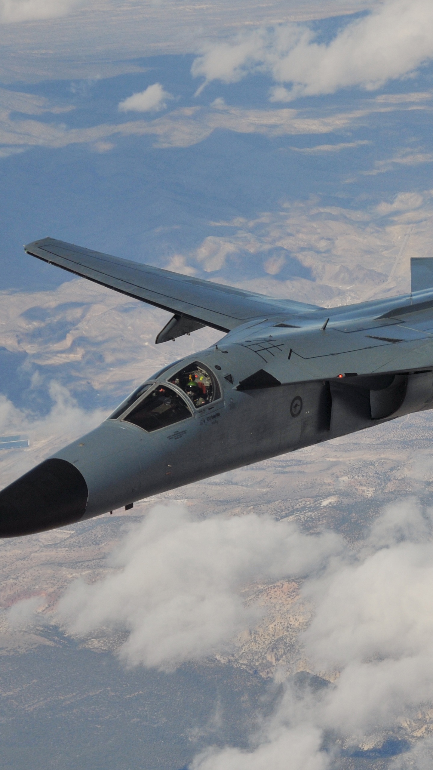 Обои Дженерал Дайнэмикс F-111 Муравьед, самолеты, военный самолет, самолет, авиация в разрешении 1440x2560