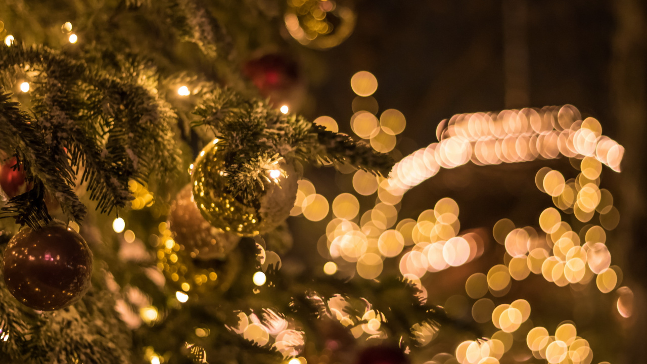 Обои Рождественский день, праздник, Рождественские огни, рождественский орнамент, Рождество в разрешении 1280x720