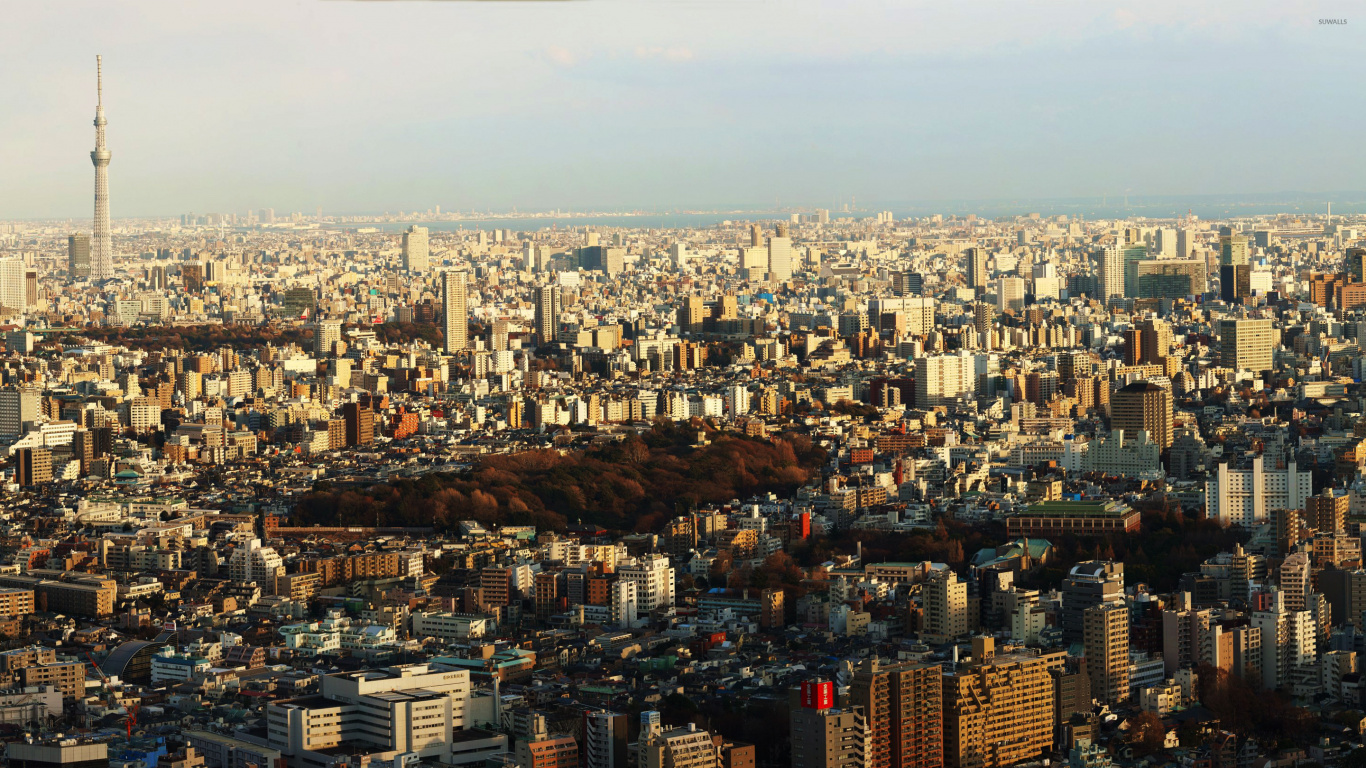 Обои небоскреб, город, городской пейзаж, городской район, метрополия в разрешении 1366x768