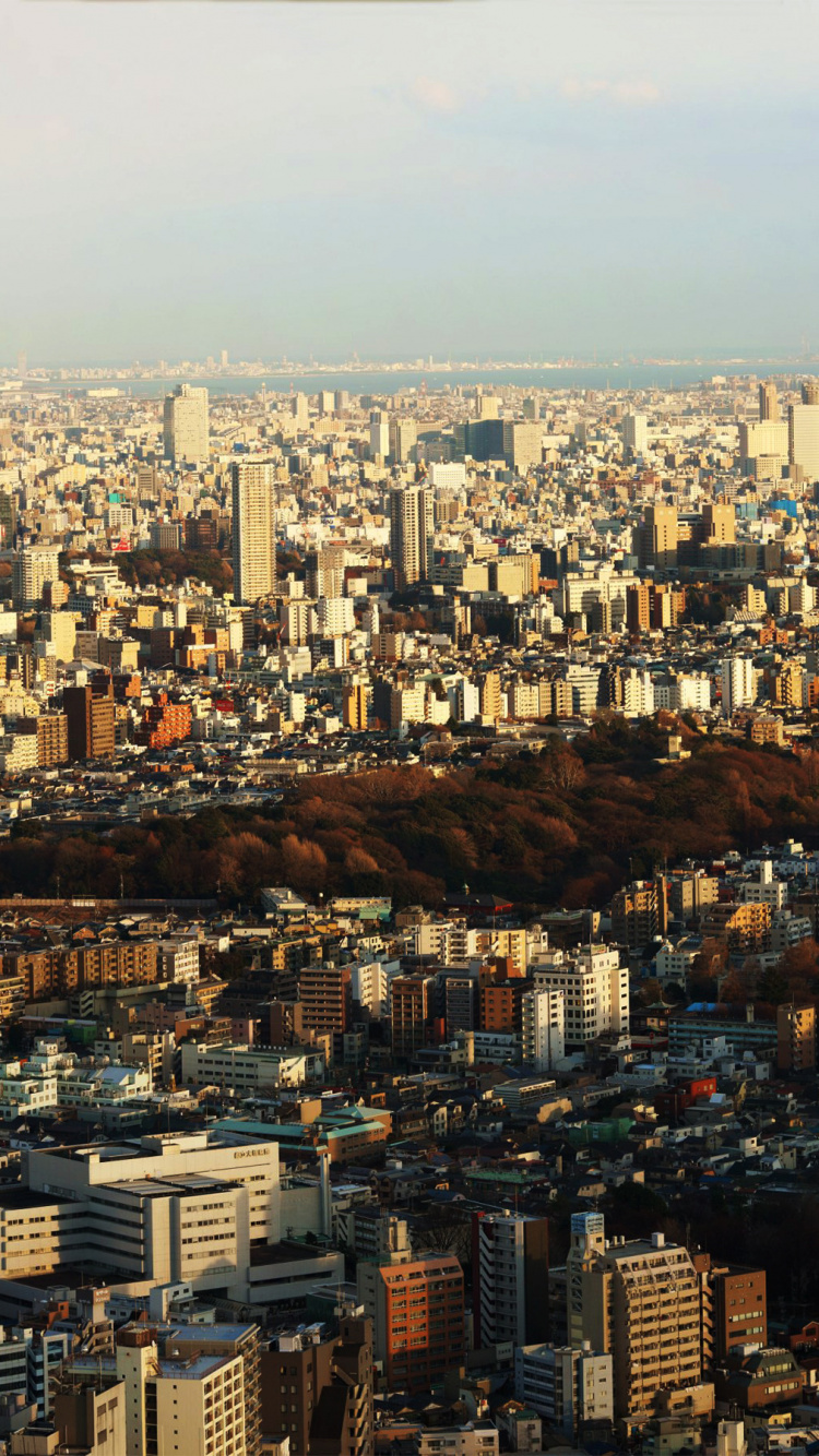 Обои небоскреб, город, городской пейзаж, городской район, метрополия в разрешении 750x1334