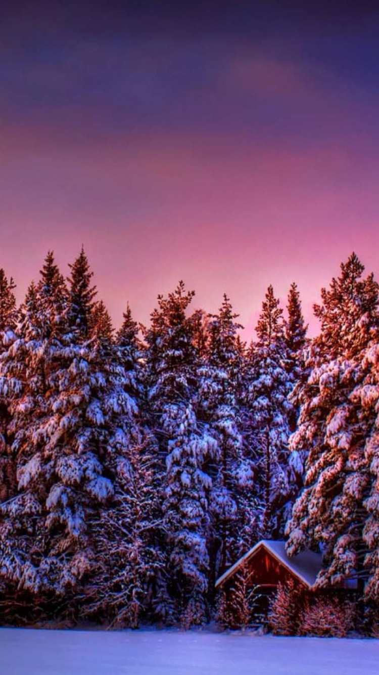 Обои зима, пурпур, природа, снег, дерево в разрешении 750x1334