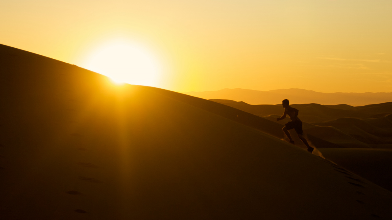 Обои песок, утро, горизонт, восход солнца, пейзаж в разрешении 1280x720