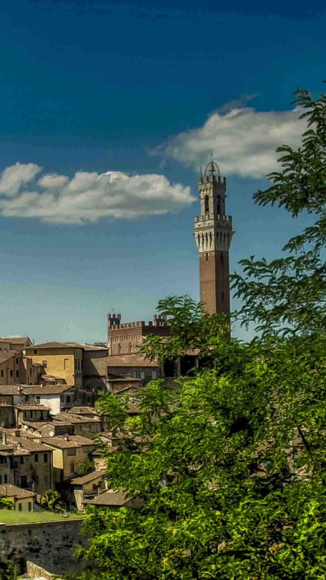 Обои Санджиминьяно, городок, дерево, небо, Отель Verdi в разрешении 1080x1920