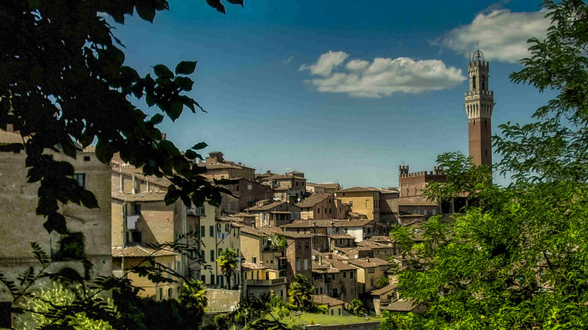 Обои Санджиминьяно, городок, дерево, небо, Отель Verdi в разрешении 1920x1080