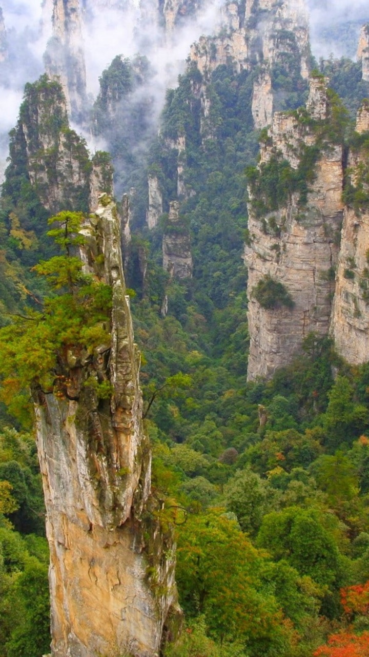 Обои Заповедника Улинюань, Гора Тяньмэнь, национальный парк Маунт рейнир, национальный парк, парк в разрешении 720x1280