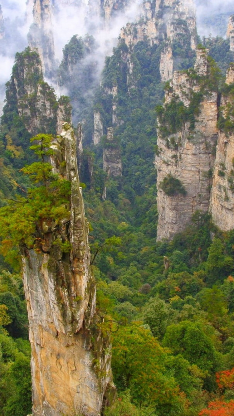 Обои Заповедника Улинюань, Гора Тяньмэнь, национальный парк Маунт рейнир, национальный парк, парк в разрешении 750x1334