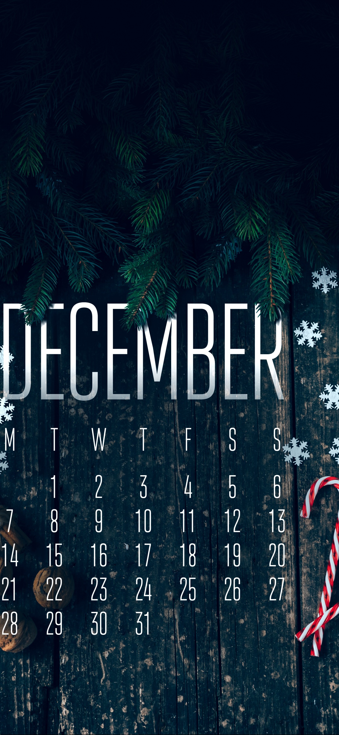 Обои постер, asus, графический дизайн, растение, мир в разрешении 1125x2436