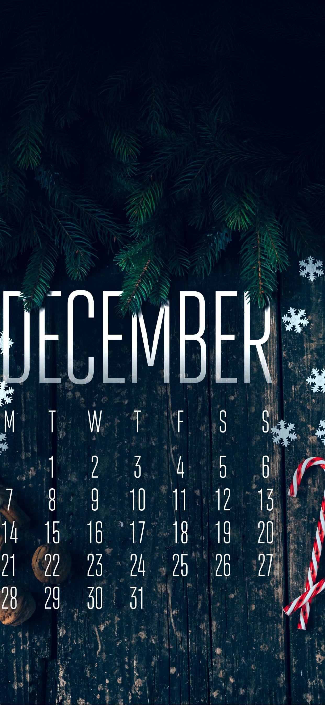 Обои постер, asus, графический дизайн, растение, мир в разрешении 1242x2688