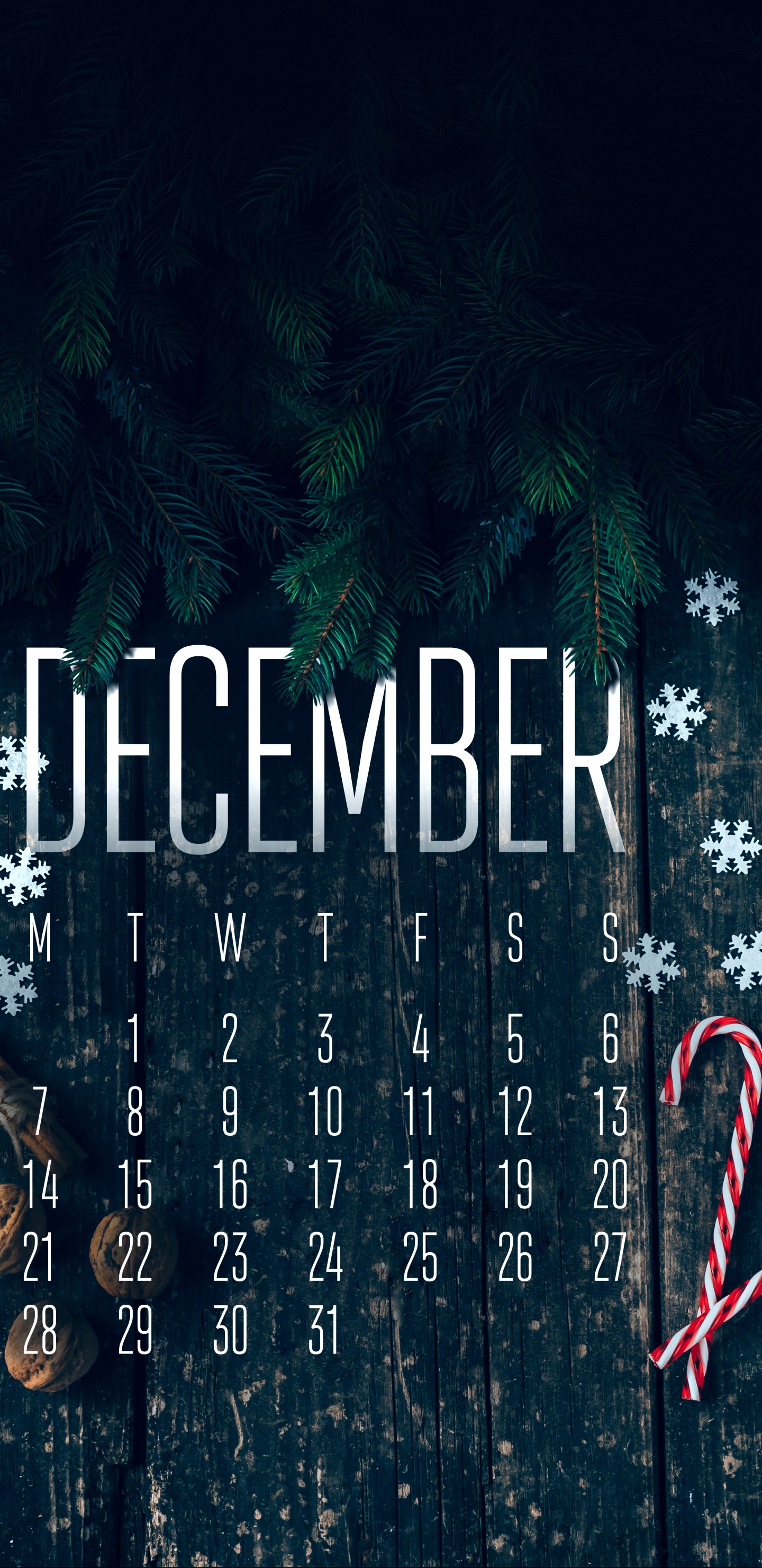 Обои постер, asus, графический дизайн, растение, мир в разрешении 1440x2960