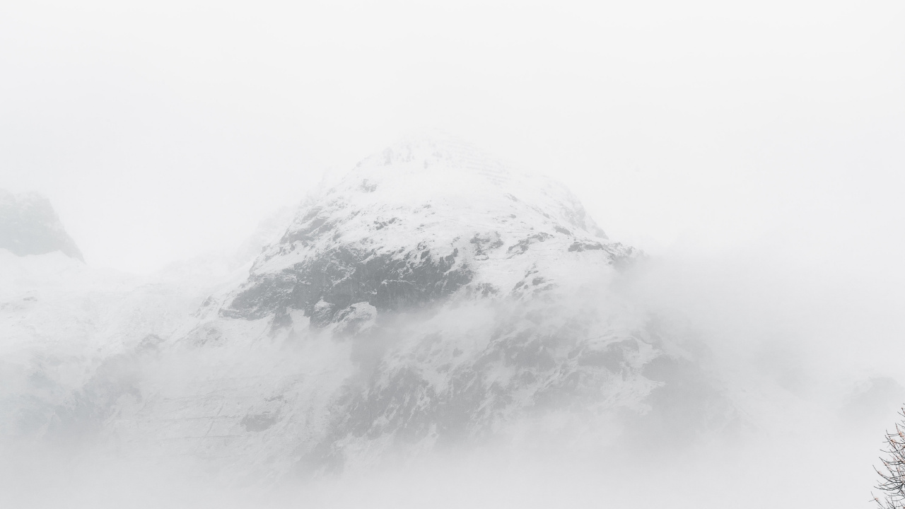 Обои снег, дерево, зима, облако, замораживание в разрешении 1280x720