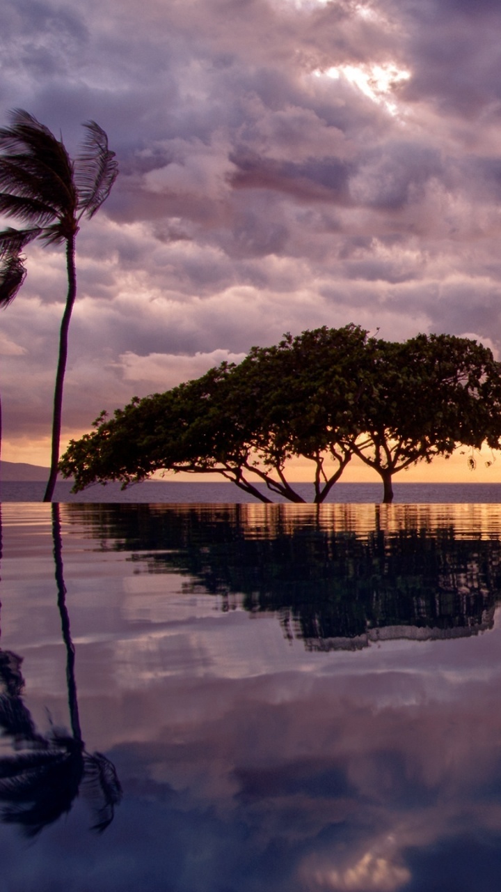 Обои отражение, вода, закат, тропическая зона, восход солнца в разрешении 720x1280