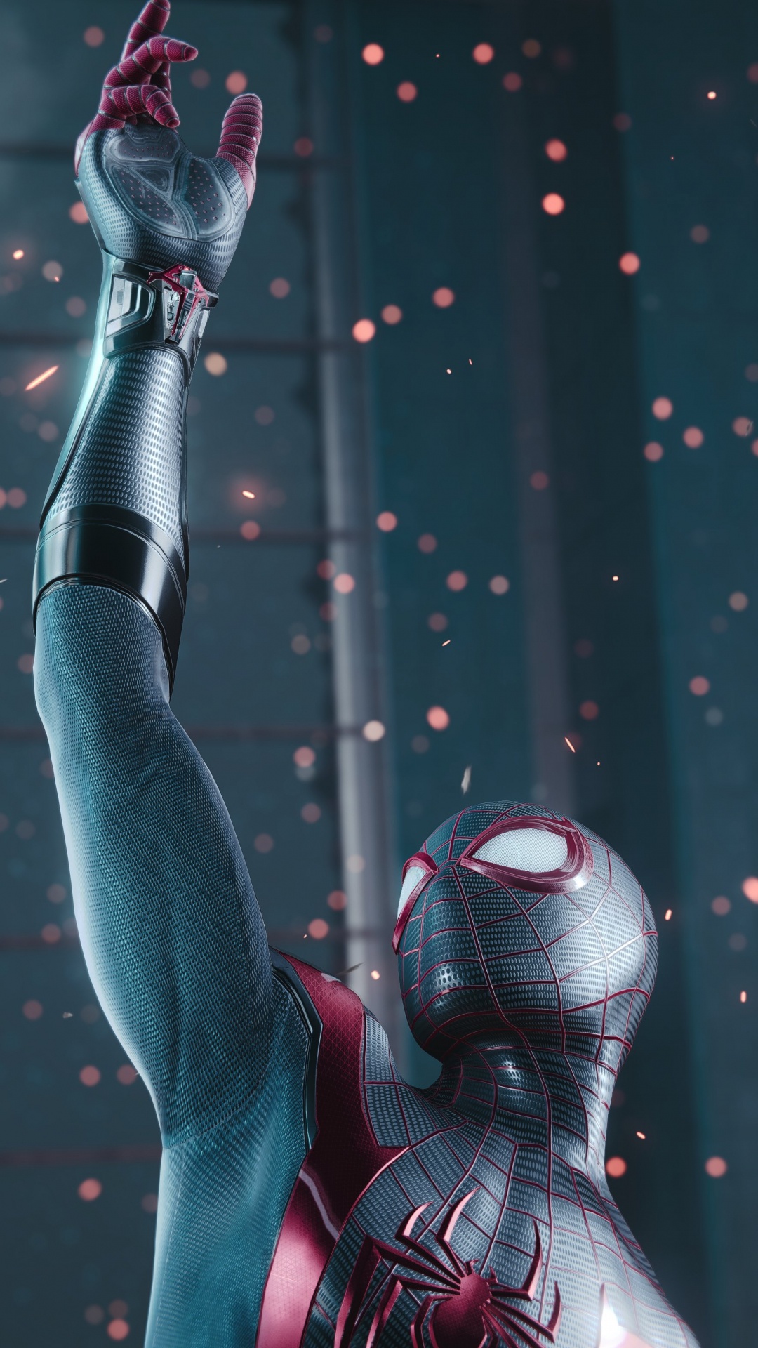 Обои мышца, человеческий скелет, биология человека, наука, биология в разрешении 1080x1920