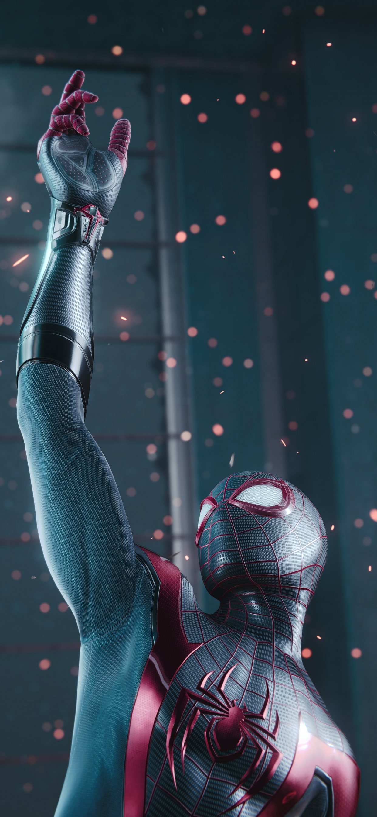 Обои мышца, человеческий скелет, биология человека, наука, биология в разрешении 1242x2688