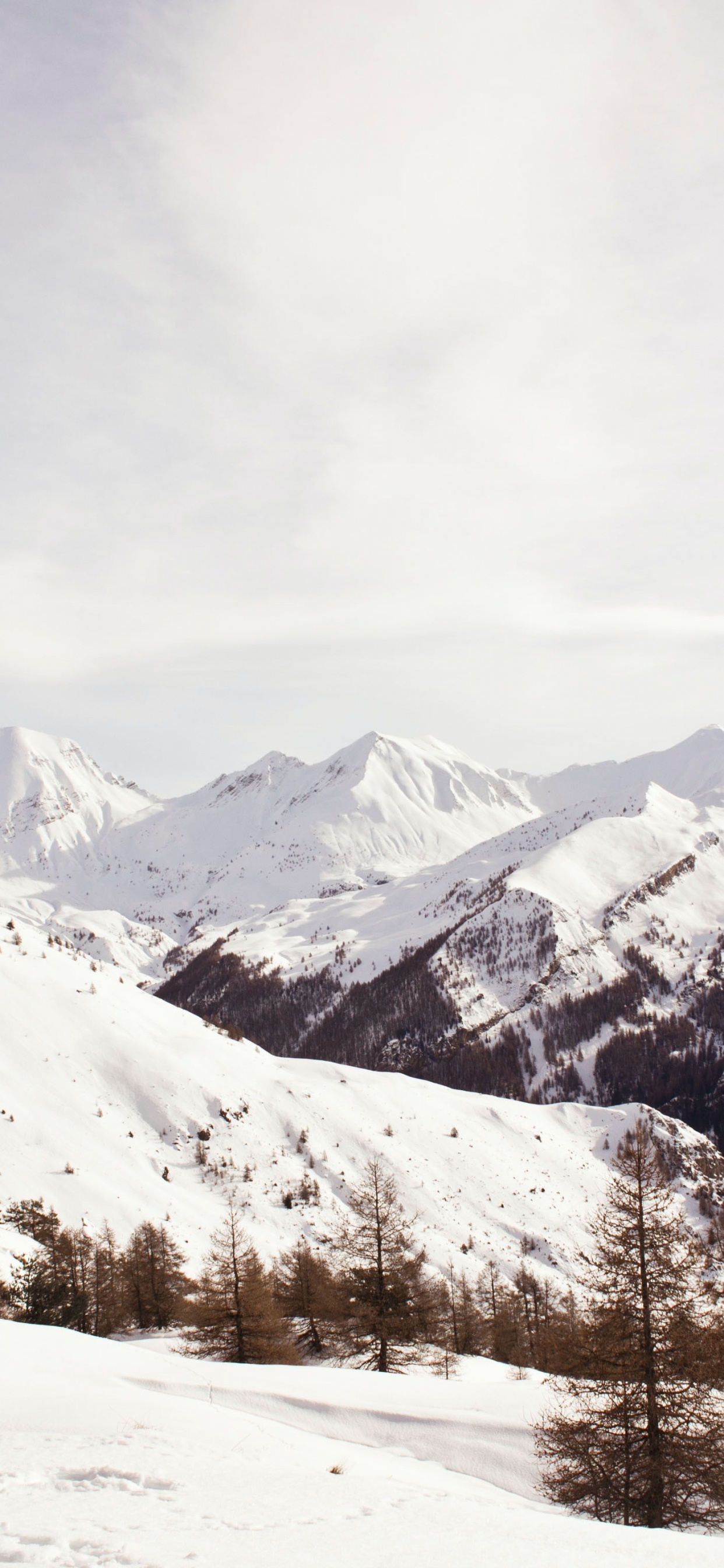 Обои облако, гора, снег, склон, растение в разрешении 1242x2688