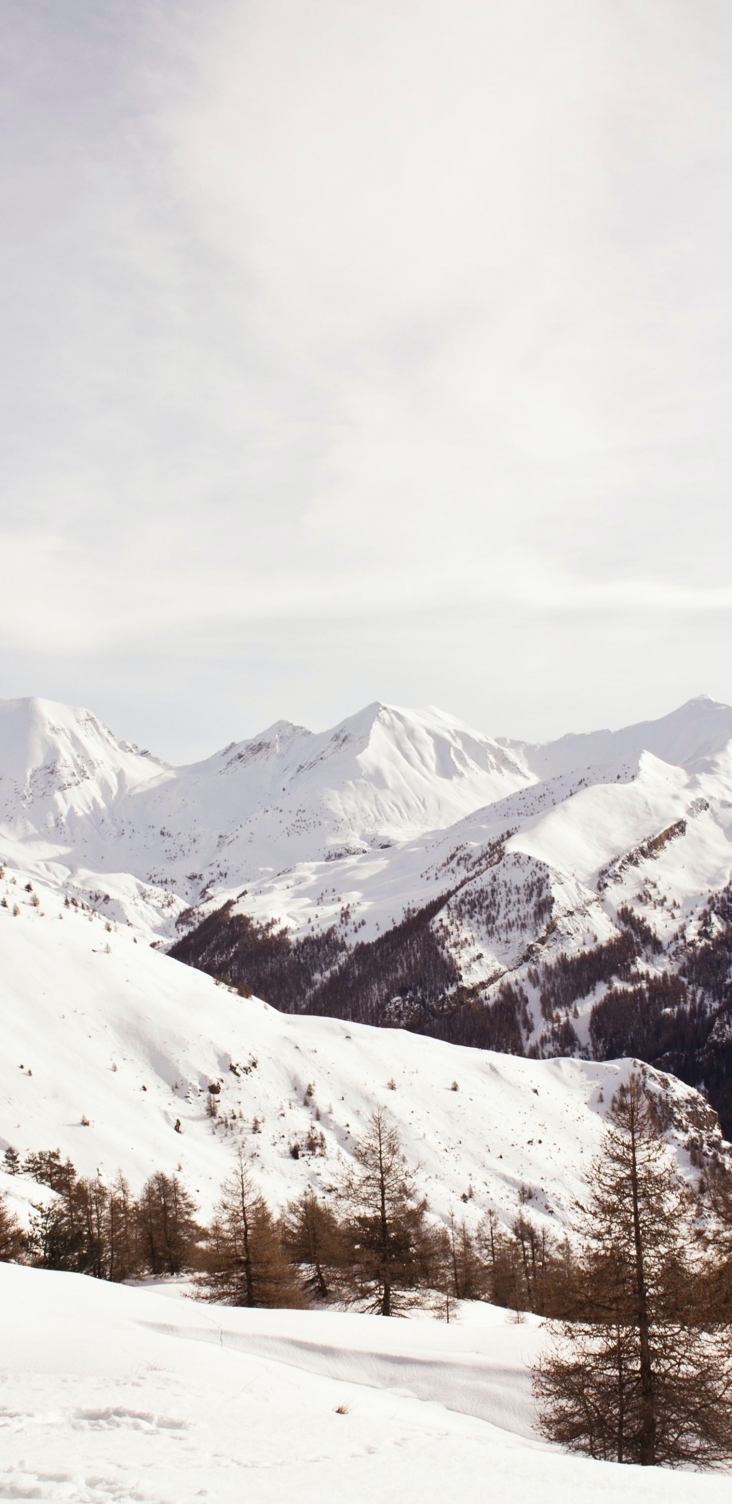 Обои облако, гора, снег, склон, растение в разрешении 1440x2960