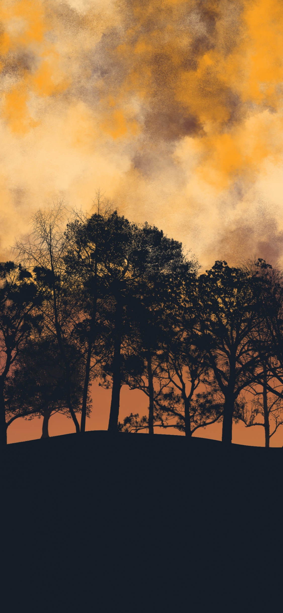 Обои дерево, природа, Оранжевый цвет, коричневый цвет, сумрак в разрешении 1125x2436