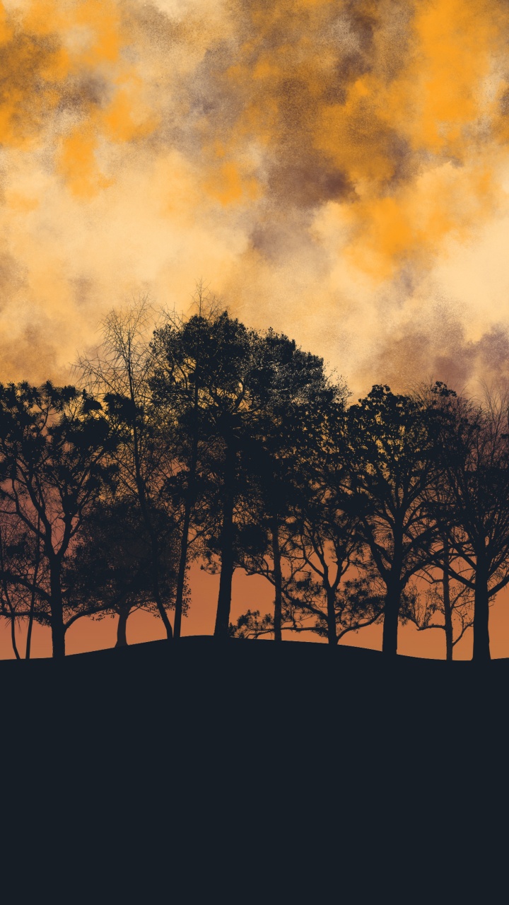 Обои дерево, природа, Оранжевый цвет, коричневый цвет, сумрак в разрешении 720x1280